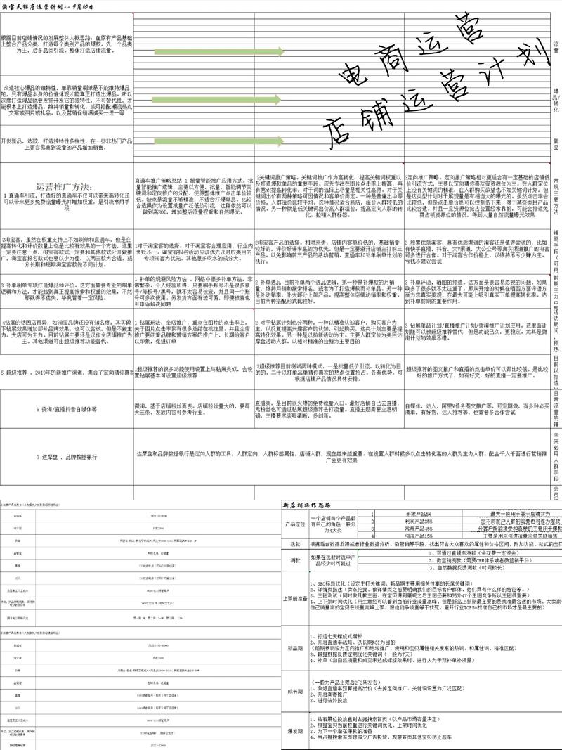 电商代运营:风口上的逐梦者